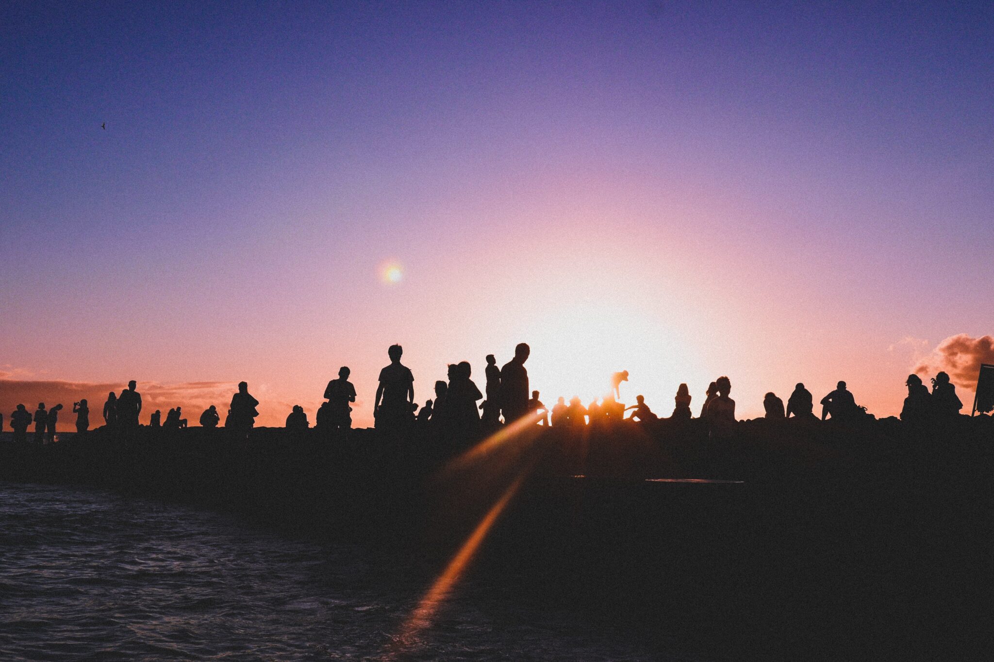 Rentrée 2023, Grenoble INP - UGA poursuit sa stratégie Cap 2030 : engager les transitions et contribuer à bâtir un monde durable (c) Rita Vicari sur Unsplash