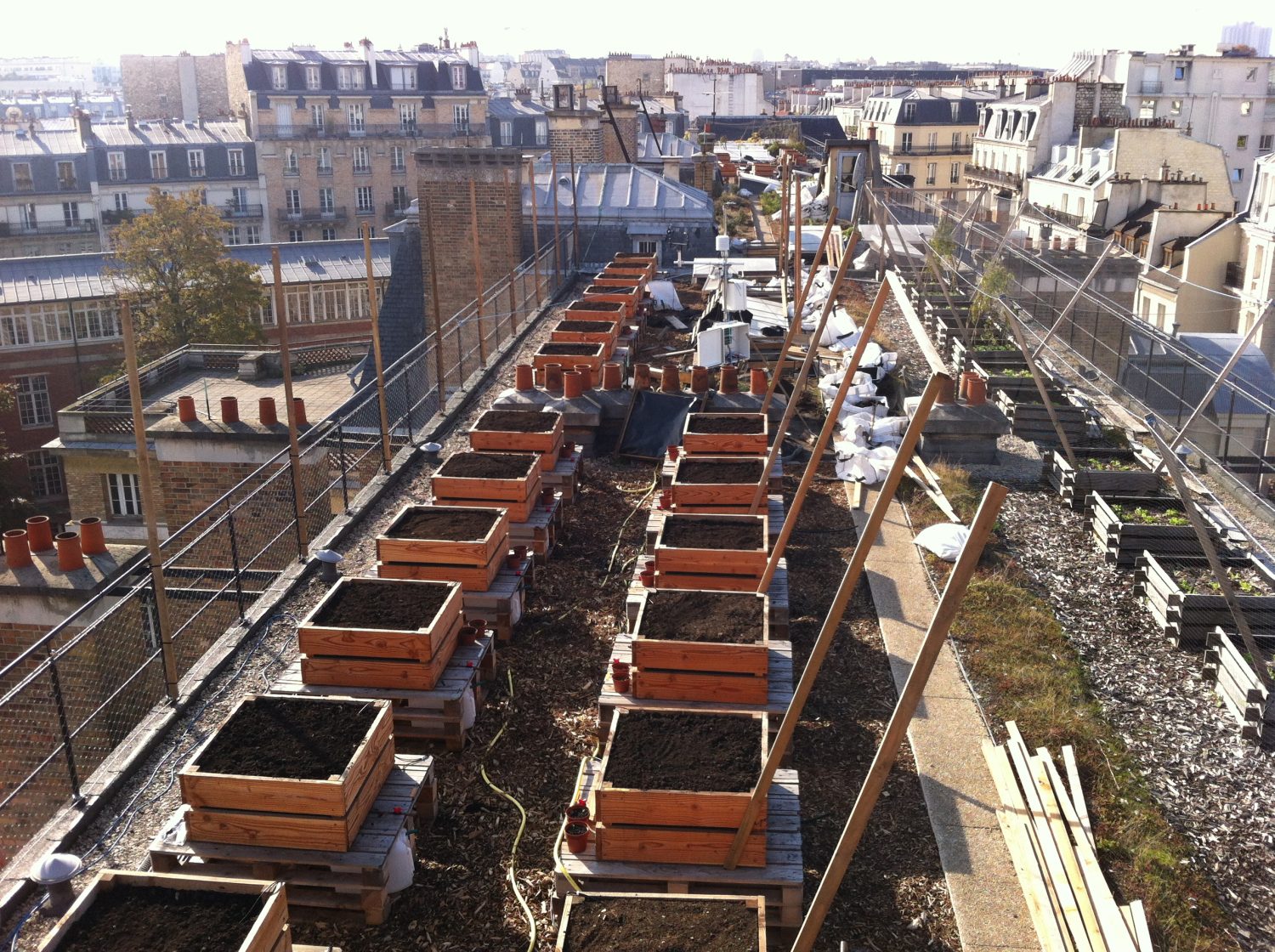 toit végétalisé AgroParisTech