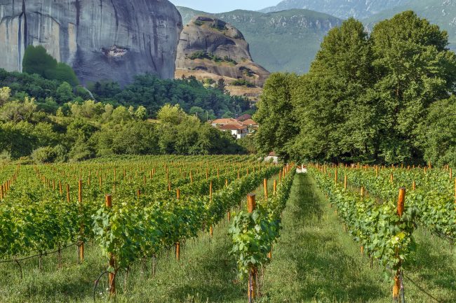 Stratégie export de vins grecs par les élèves de la School of Wine de BSB (c) adobestock, Meteora / Greece