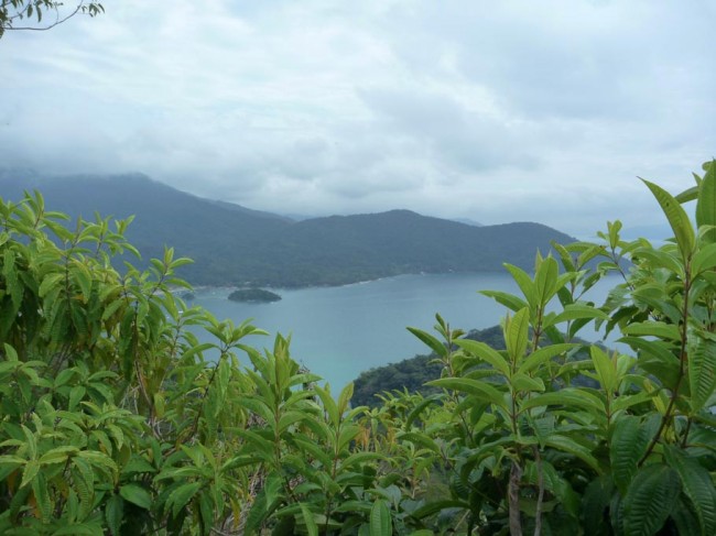 Ilha Grande est parsemée de petites criques désertes que l'on découvre au détour d'un chemin où se reposer ou se baigner