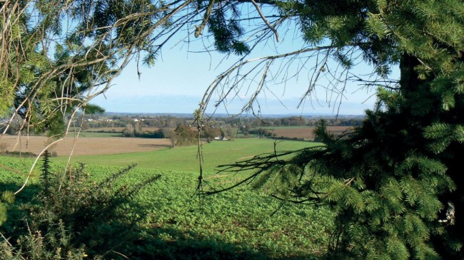 Région de Saint Léonard des Bois